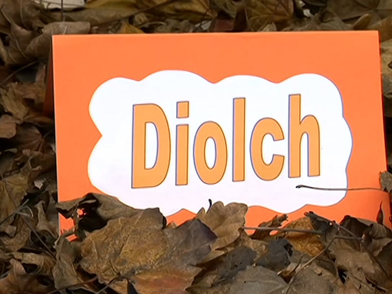 "Diolch" thumbnail