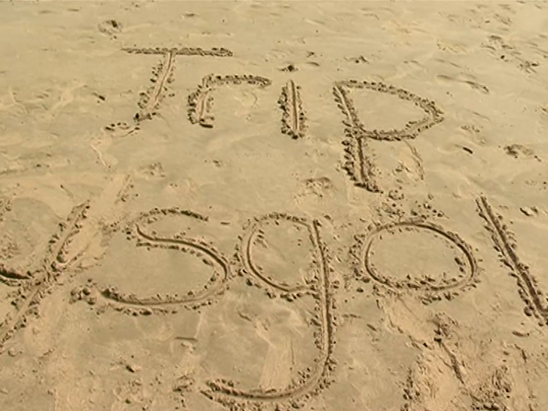 "Y trip" thumbnail