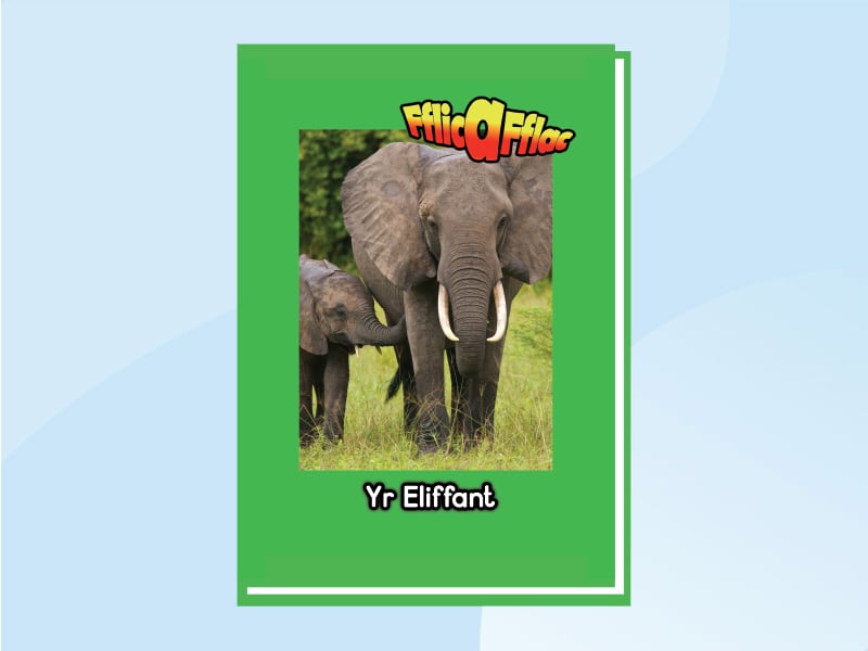 Thumbnail for Yr Eliffant