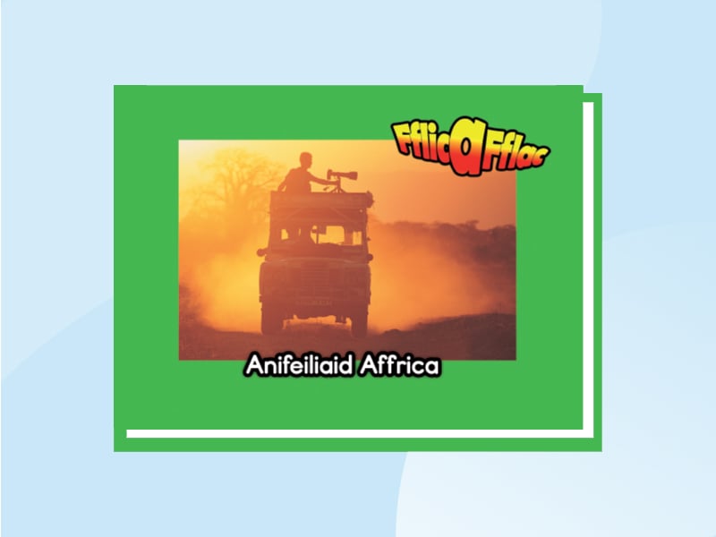 Thumbnail for Anifeiliaid Affrica